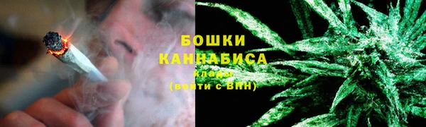 PSILOCYBIN Няндома