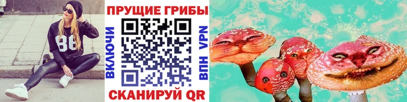 Галлюциногенные грибы мицелий Томари