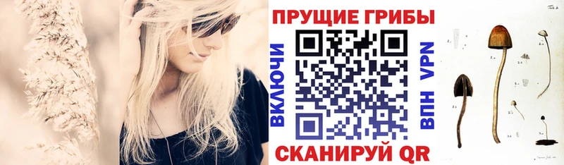 сайты даркнета какой сайт  Томари  Галлюциногенные грибы мицелий 